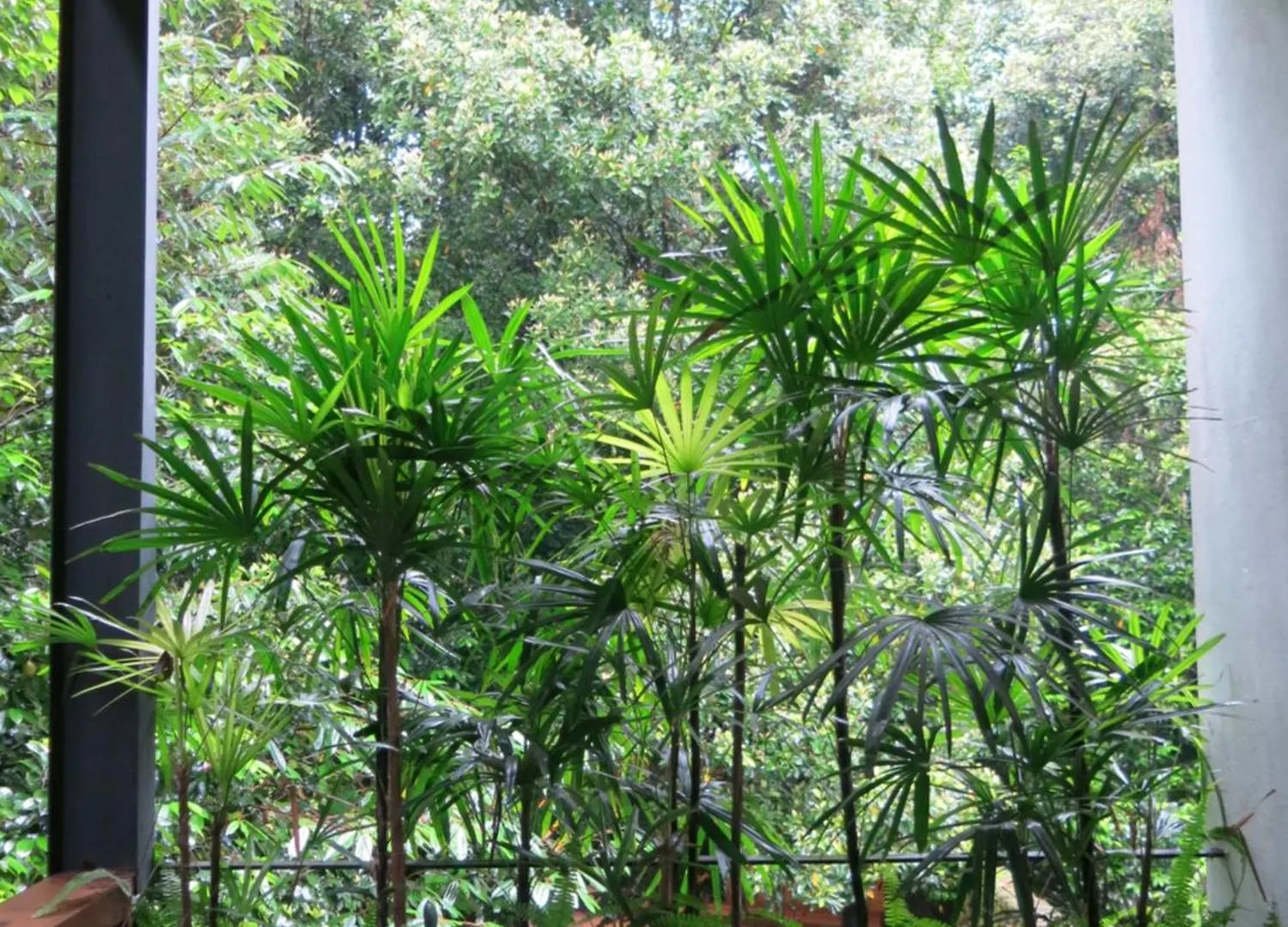Hotel Paradise Itzu Kandy