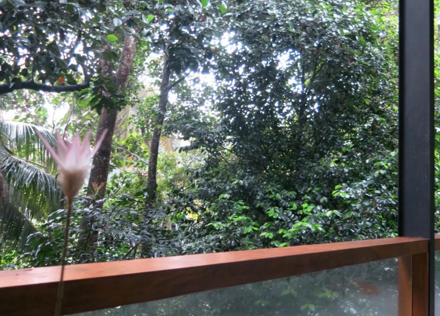 Hotel Paradise Itzu Kandy