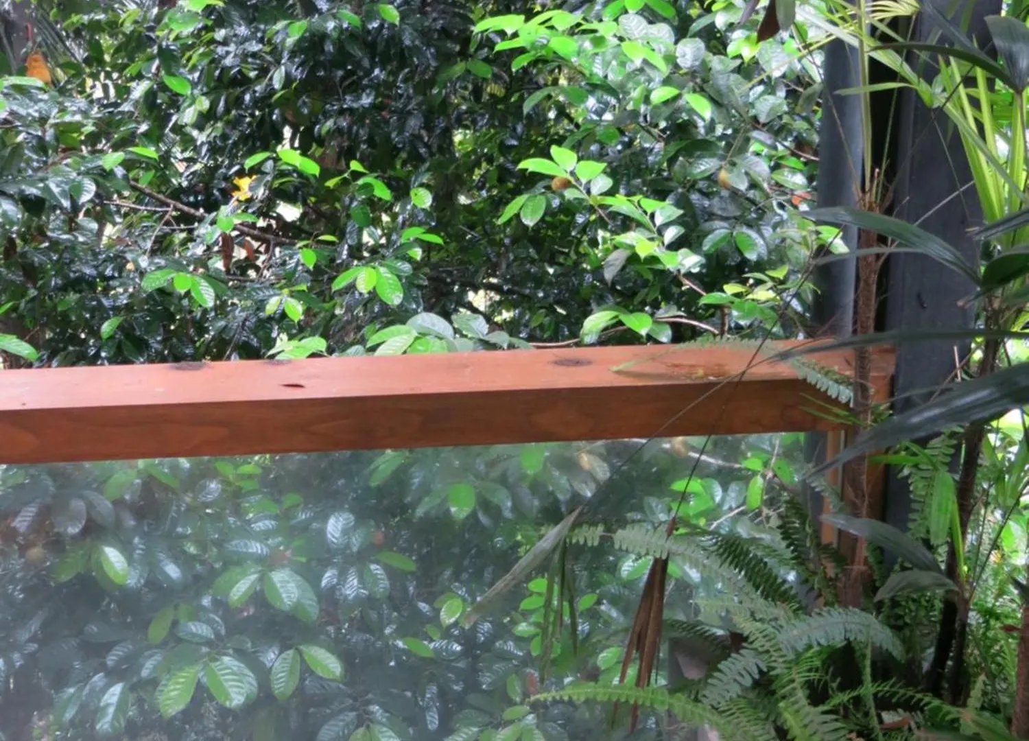 Paradise Itzu Kandy Hotel