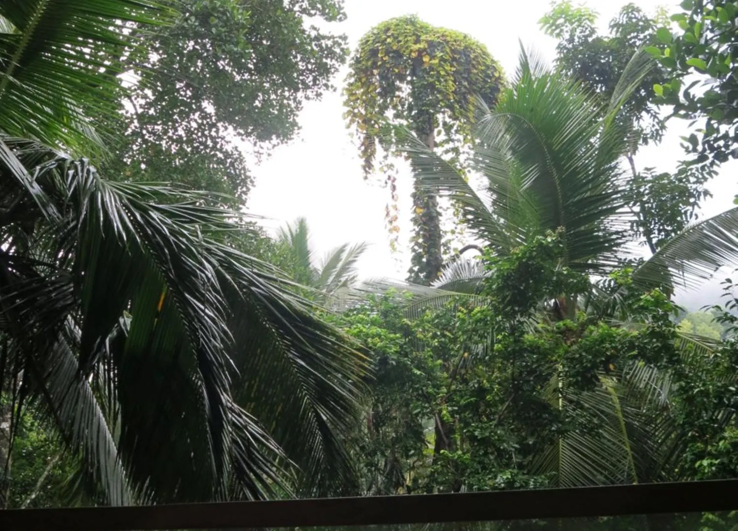 Paradise Itzu Kandy Hotel