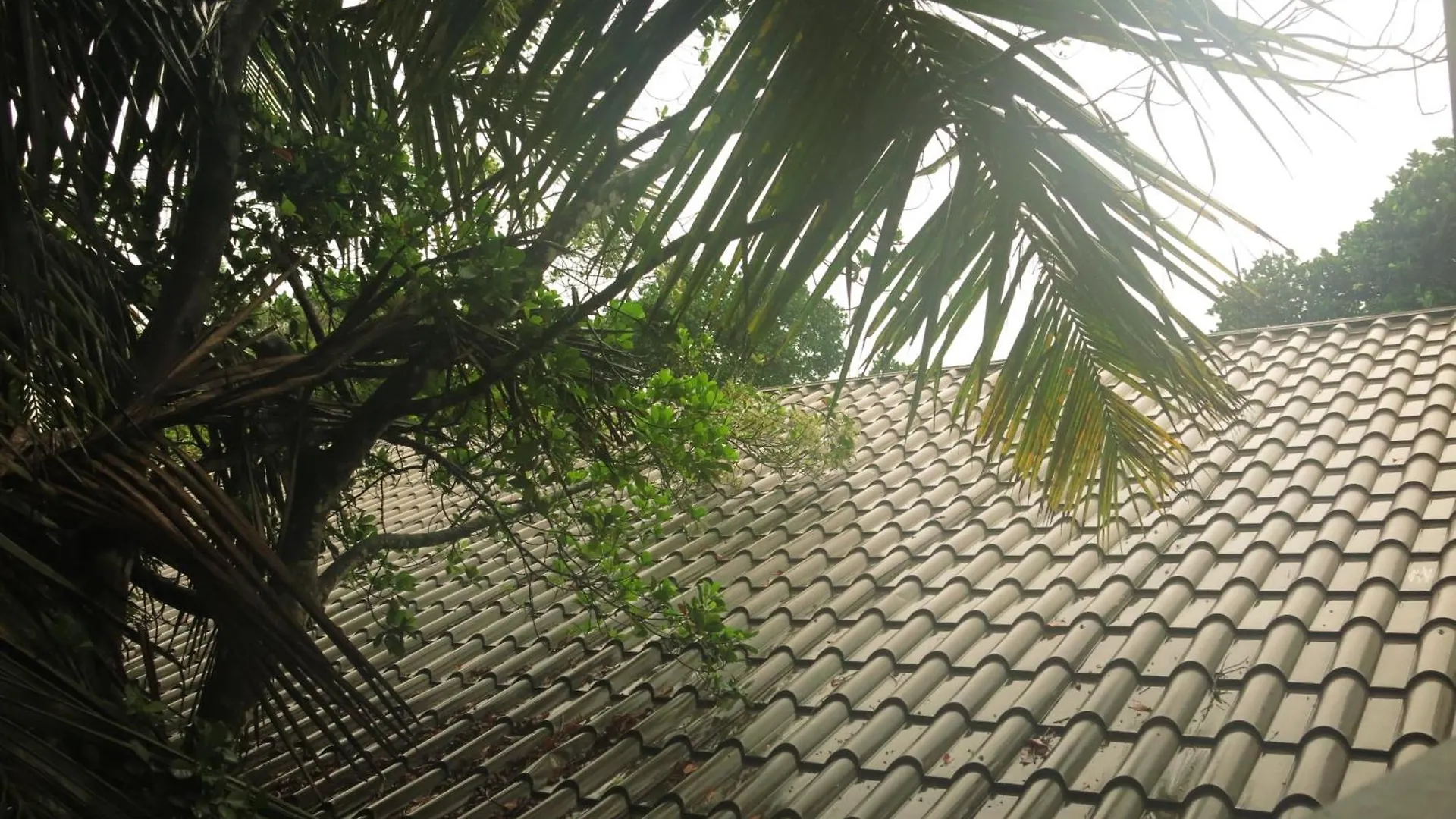 Paradise Itzu Kandy Hotel