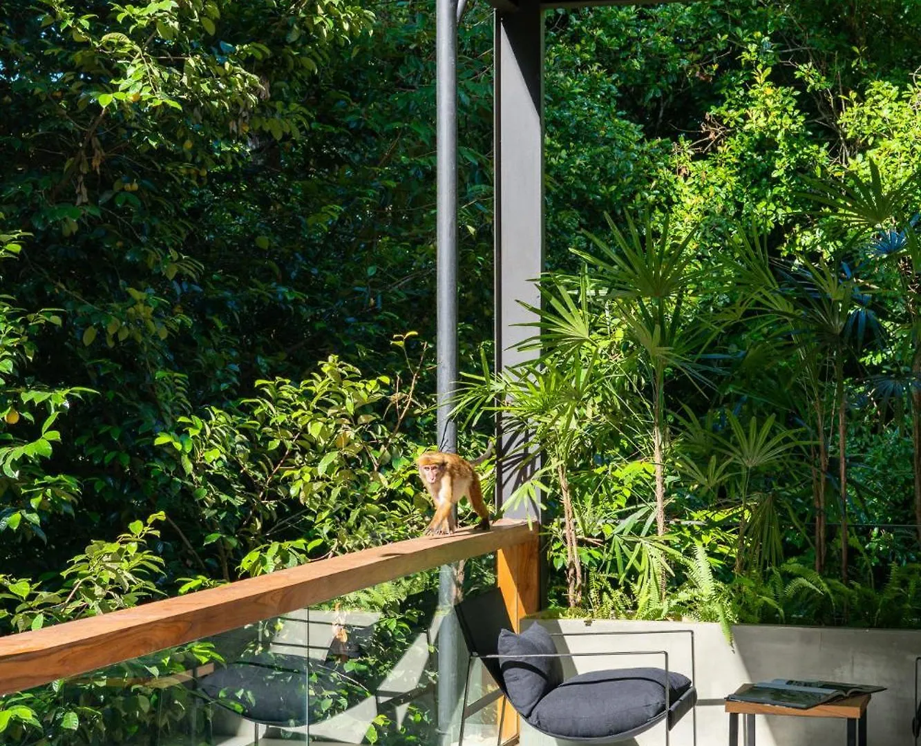Paradise Itzu Kandy Hotel